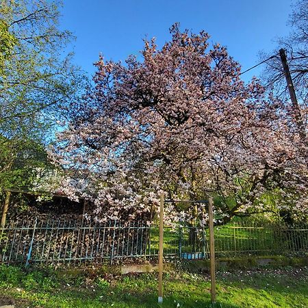 Bergischer Hof - Bergischer Hofgarten Windeck Kültér fotó